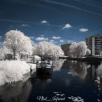 Thumbnail of Lille en 720Nm